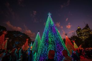 Noël Sydney draws thousands into the festive spirit